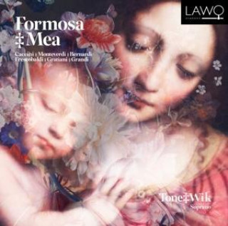 Audio Formosa Mea Tone Wik
