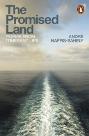 Libro Promised Land Andr? Naffis-Sahely