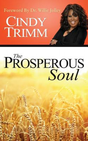 Kniha Properous Soul Cindy Trimm