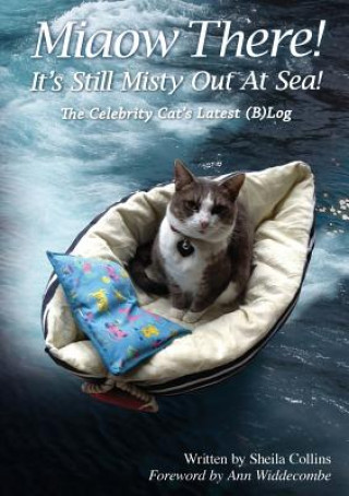 Book Miaow There! It's Still Misty Out At Sea! Sheila Collins