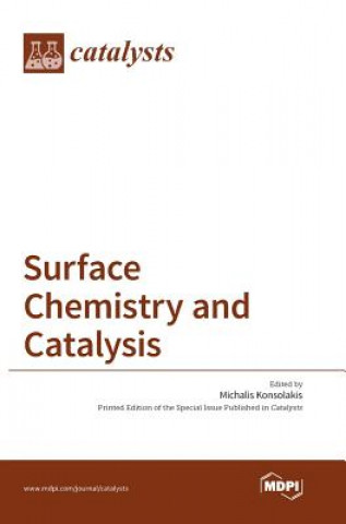 Kniha Surface Chemistry and Catalysis 