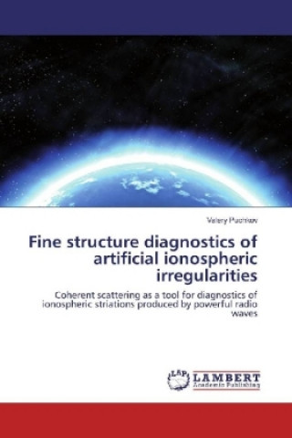 Könyv Fine structure diagnostics of artificial ionospheric irregularities Valery Puchkov
