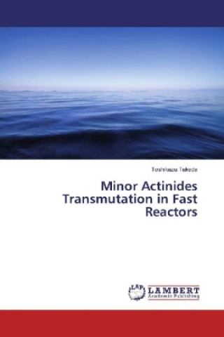 Carte Minor Actinides Transmutation in Fast Reactors Toshikazu Takeda