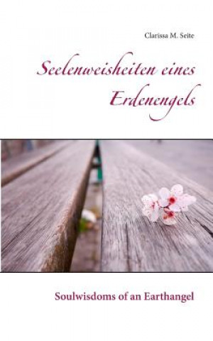 Książka Seelenweisheiten eines Erdenengels Clarissa M. Seite