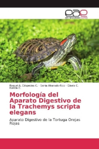 Livre Morfología del Aparato Digestivo de la Trachemys scripta elegans Raquel A. Céspedes C.