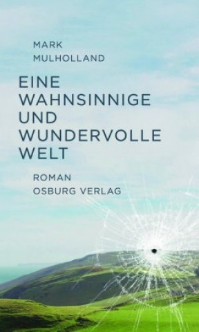 Buch Eine wahnsinnige und wundervolle Welt Mark Mulholland