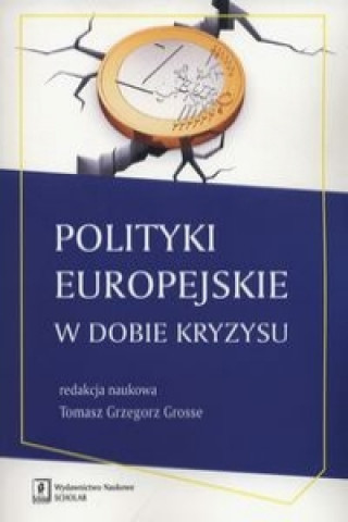Kniha Polityka europejska w dobie kryzysu 