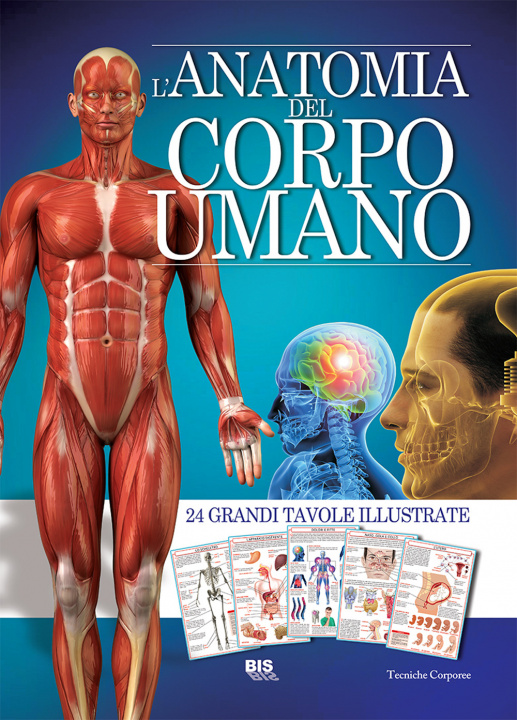 Kniha L'anatomia del corpo umano 