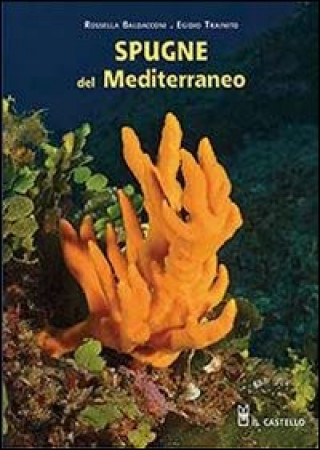Kniha Spugne del Mediterraneo Rossella Baldacconi
