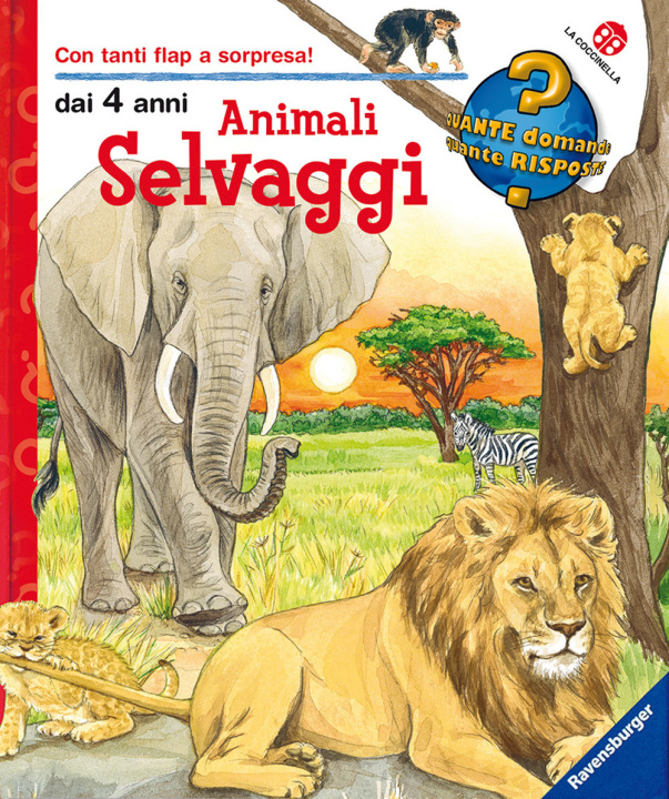 Kniha Animali selvaggi Daniela Prusse