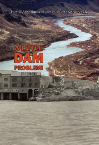 Könyv A Little Dam Problem Jim Jones