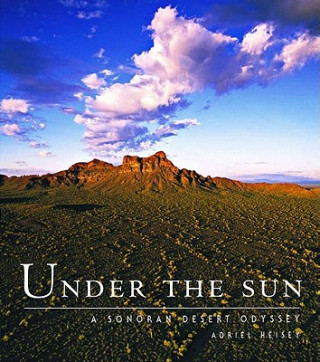 Kniha UNDER THE SUN Adriel Heisey