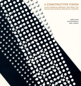 Kniha A Constructive Vision: Latin American Abstract Art Adriana Cisneros De Griffin