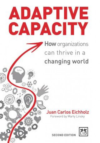 Livre Adaptive Capacity Juan Carlos Eicholz