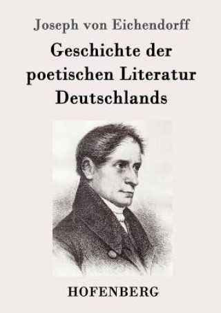 Kniha Geschichte der poetischen Literatur Deutschlands Joseph von Eichendorff
