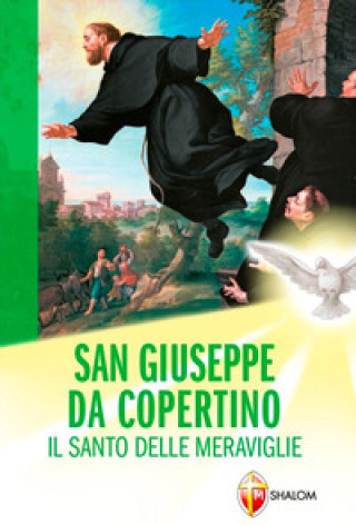 Kniha San Giuseppe da Copertino. Il santo delle meraviglie Wanda Chiappinelli