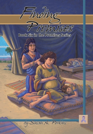 Książka Finding Promises Susan A. Perkins