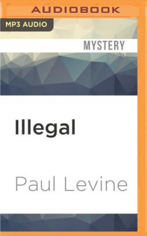 Digital Illegal Paul Levine