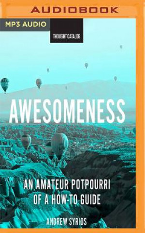 Digital AWESOMENESS                  M Andrew Syrios