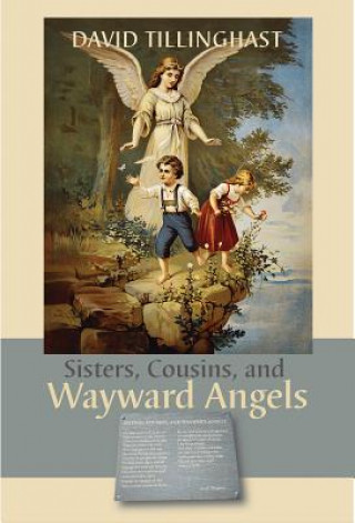 Kniha Sisters, Cousins, and Wayward Angels David C. Tillinghast