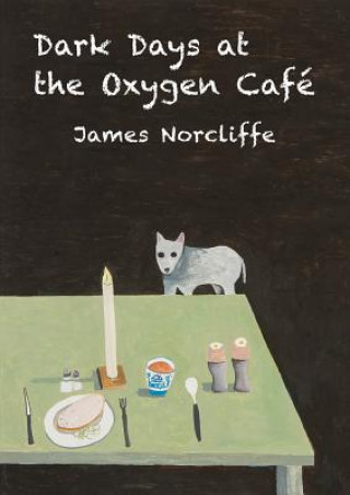 Buch Dark Days at the Oxygen Cafe James Norcliffe