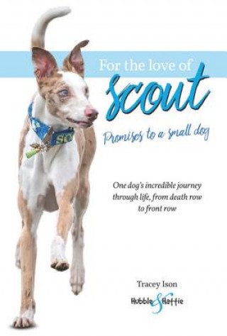 Kniha For the Love of Scout Tracey Ison