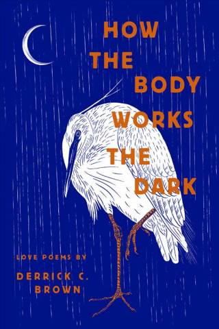 Kniha How the Body Works the Dark Derrick C. Brown