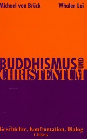Kniha Buddhismus und Christentum Michael von Brück