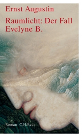 Carte Raumlicht: Der Fall Evelyne B. Ernst Augustin