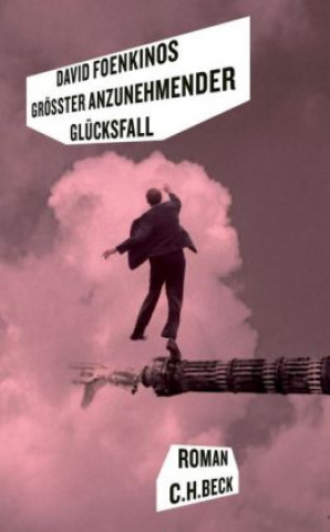 Book Größter anzunehmender Glücksfall David Foenkinos