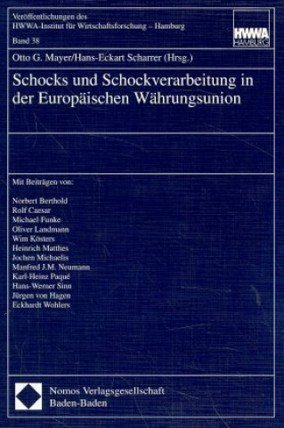 Kniha Schocks und Schockverarbeitung in der Europäischen Währungsunion Otto G. Mayer