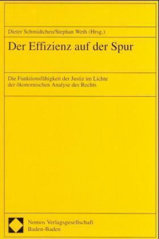 Kniha Der Effizienz auf der Spur Dieter Schmidtchen