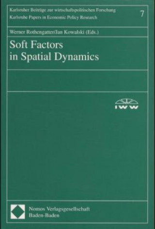 Buch Soft Factors in Spatial Dynamics Werner Rothengatter