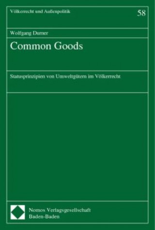 Könyv Common Goods Wolfgang Durner