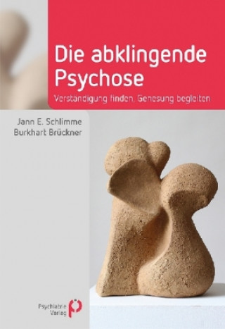 Kniha Die abklingende Psychose Jann Schlimme