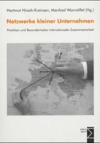 Kniha Netzwerke kleiner Unternehmen Hartmut Hirsch-Kreinsen