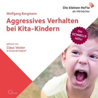 Audio Aggressives Verhalten bei Kita-Kindern, 1 Audio-CD Wolfgang Bergmann