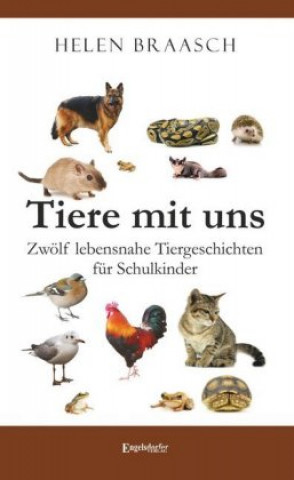 Könyv Tiere mit uns Helen Braasch