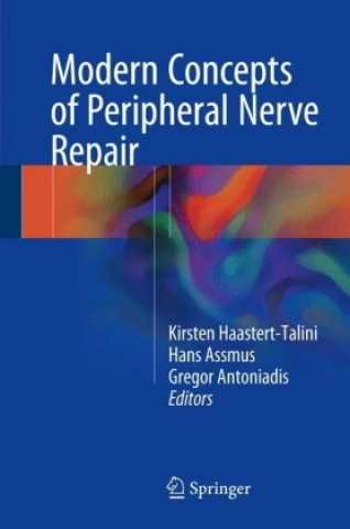Carte Modern Concepts of Peripheral Nerve Repair Kirsten Haastert-Talini