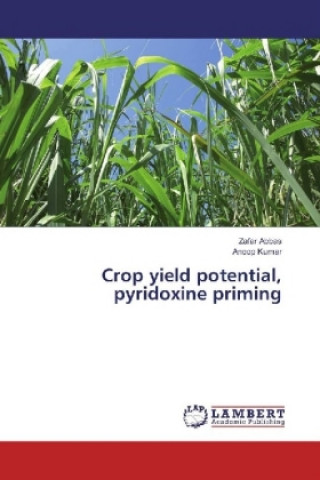 Carte Crop yield potential, pyridoxine priming Zafar Abbas