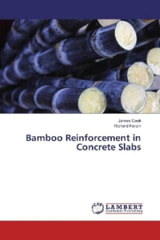 Książka Bamboo Reinforcement in Concrete Slabs James Cook