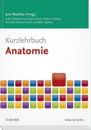 Книга Kurzlehrbuch Anatomie Marco Koch