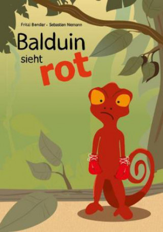 Buch Balduin sieht rot Fritzi Bender