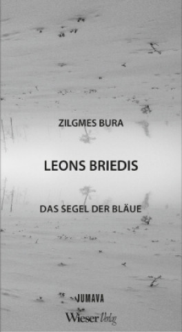 Kniha Das Segel der Bläue / Zilgmes Bura Leons Briedis