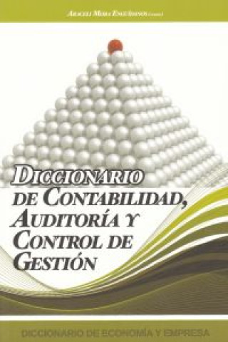 Kniha Diccionario de contabilidad, auditoría y control de gestión 