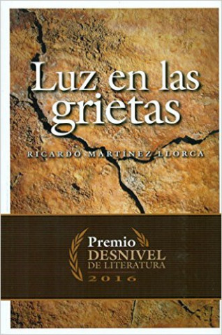 Book Luz en las grietas RICARDO MARTINEZ LLORCA