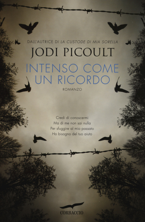 Kniha Intenso come un ricordo Jodi Picoult