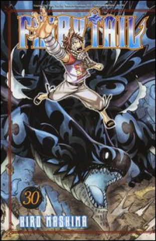 Boek Fairy Tail Hiro Mashima