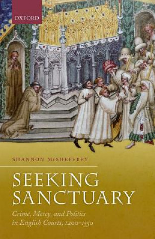 Kniha Seeking Sanctuary Shannon McSheffrey