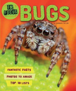 Kniha In Focus: Bugs Kingfisher